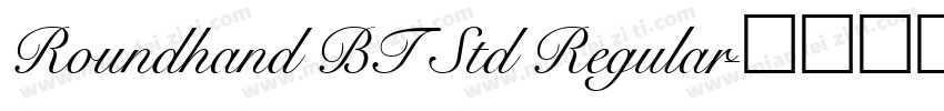 Roundhand BT Std Regular字体转换